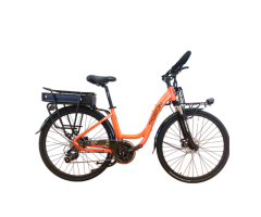 FP-EB2198 700C Electric Travel Bike