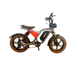 FP-EB2194 20" Fat Tire Electric Pedelec