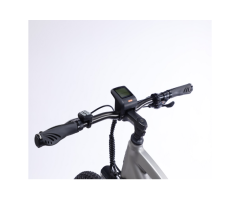 FP-EB2160 350W 48V Electric Bike with Mid Motor