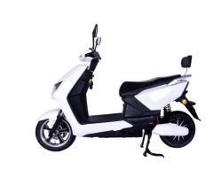 DMS-D00011 1500W Electric Vehicle
