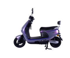 DMS-D0009 1500W Electric Vehicle