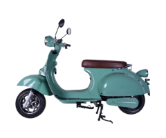 DMS-D0008 1500W Electric Vehicle