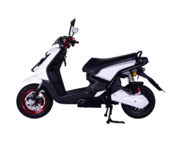 DMS-D0007 1500W Electric Vehicle