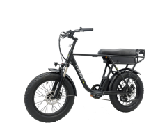 S733 Electric Snow Bike with Fat Tires