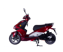 DMS-D0005 1500W Electric Vehicle