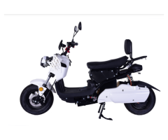 DMS-D0006 1500W Electric Vehicle