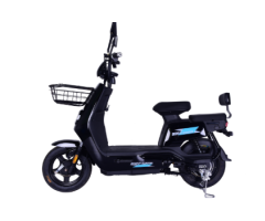 DMS-Q0020 500W Electric Vehicle