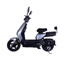 DMS-Q0019 500W Electric Vehicle