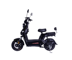 DMS-Q0018 500W Electric Vehicle