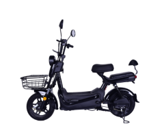 DMS-Q0017 500W Electric Vehicle