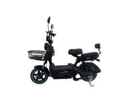 DMS-Q0015 500W Electric Vehicle