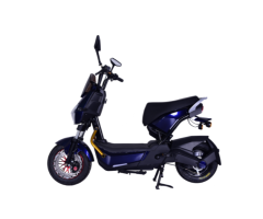 DMS-Q0014 800W Electric Vehicle