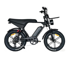 JAZZ E800 750W Electric Fat Tire E-Bike