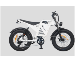 JAZZ E700 750W Electric Fat Tire E-Bike