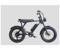JAZZ E500 500W Electric Fat Tire E-Bike