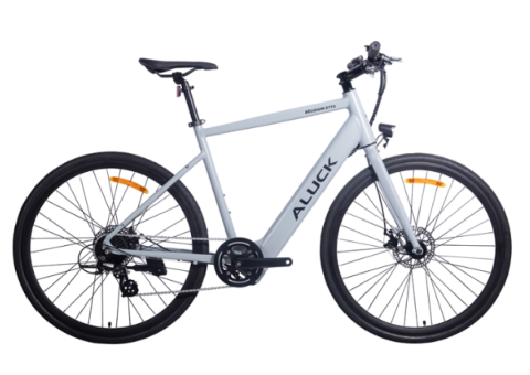 BELGIUM E770 250W Electric City Bike