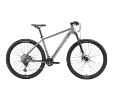 BIG-26 Aluminum Mountain Bike with Shimano 10-Speed