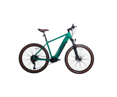 ROVER E700 Electric Mountain Bike