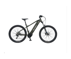 ROVER E600 Electric Mountain Bike