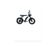 JAZZ E500 Electric Bike with 80mm Suspension Fork