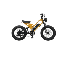 JAZZ E550 Electric Bike