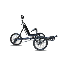 SZX-02 Adult Bicycle