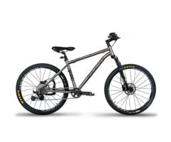 TZX-126 Adult Bicycle