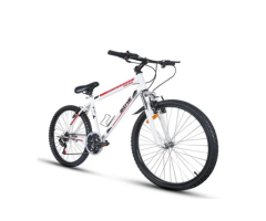 ZX-184 Adult Bicycle