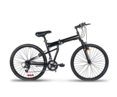 ZX-195 Adult Bicycle