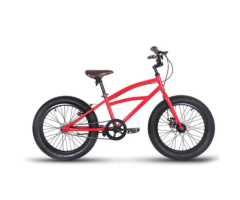ZX-197 Adult Bicycle