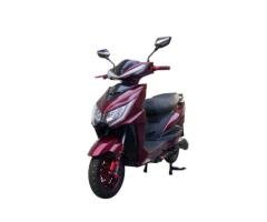 K003 ZL3 10-Inch Custom 600W/800W Electric Moped