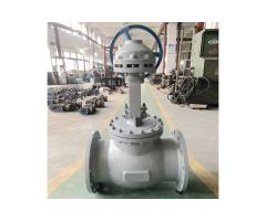 WCB Globe Valve 150LB 12 Inch