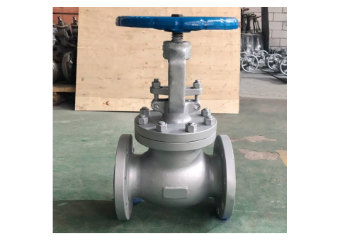 A216 WCB Globe Valve 150LB 4 Inch - 2/3