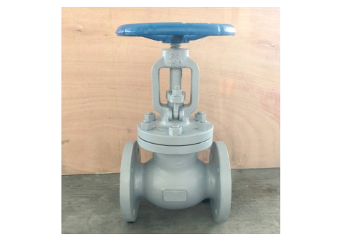 WCB Globe Valve 150LB 2.5 Inch - 1/3