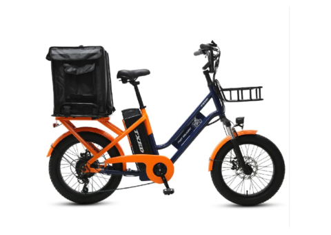 Fast Delivery I Electric Delivery Bike - 1/5