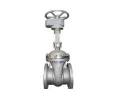 API 600 CF8M Gate Valve 300LB 10 Inch