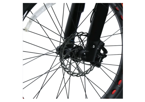 TXED 48V 750W Full-Suspension Fat Tire E-MTB - 5/5