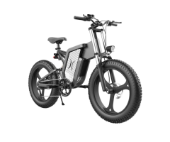Ridstar X20 48V 1000W Electric Bike