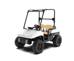 818 Golf Kids Electric Ride-On Car