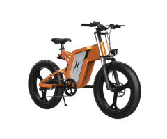 Ridstar X20 48V 1000W Electric Touring Bike