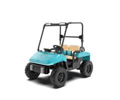 818 Golf Electric Ride-On Car for Kids
