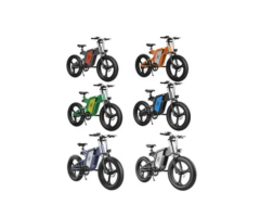 Ridstar 20" 48V 500W Trail E-Bike