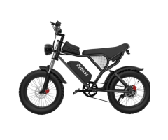 Ridstar Q20 20" 20MPH Electric Bike