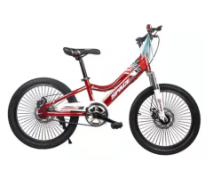 20 Inch Kids Mountain Bike with Disc Brake
