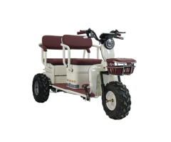 Tianlong Off-road Edition Balance Bike
