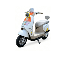 Space Turtle Electric Bike