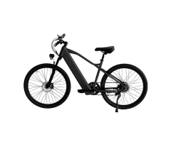Man Electric Bike