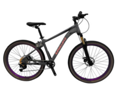 Mountain Bike SDC-009