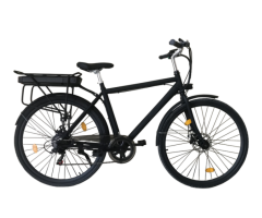 EB025 Electric City Bike