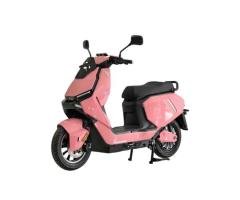 K195 FX Cross-Country Electric Motorbike